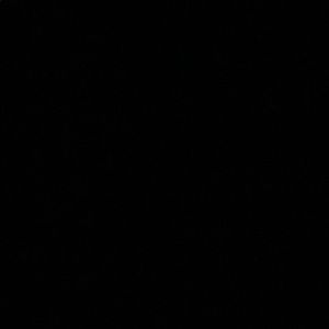 Meet your Posher, Kiana